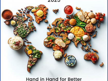 India’s food security system ensuring food, nutritional equity for 81 crore citizens: Govt | India’s food security system ensuring food, nutritional equity for 81 crore citizens: Govt India’s food security system ensuring food, nutritional equity for 81 crore citizens: Govt | India’s food security system ensuring food, nutritional equity for 81 crore citizens: Govt