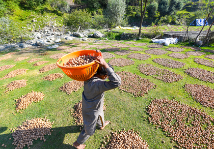 Agriculture Ministry offers more flexibility to states for promoting drip, sprinkler irrigation | Agriculture Ministry offers more flexibility to states for promoting drip, sprinkler irrigation Agriculture Ministry offers more flexibility to states for promoting drip, sprinkler irrigation | Agriculture Ministry offers more flexibility to states for promoting drip, sprinkler irrigation