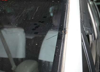 BJP MP Raju Bista’s convoy attacked by miscreants in north Bengal | BJP MP Raju Bista’s convoy attacked by miscreants in north Bengal BJP MP Raju Bista’s convoy attacked by miscreants in north Bengal | BJP MP Raju Bista’s convoy attacked by miscreants in north Bengal