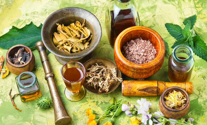 Ayurveda Day transformed from national observance into a global health movement: CSIR-NIScPR | Ayurveda Day transformed from national observance into a global health movement: CSIR-NIScPR
