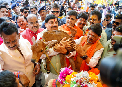 Cows always prefer to live among humans: MP CM on Govardhan Puja | Cows always prefer to live among humans: MP CM on Govardhan Puja Cows always prefer to live among humans: MP CM on Govardhan Puja | Cows always prefer to live among humans: MP CM on Govardhan Puja