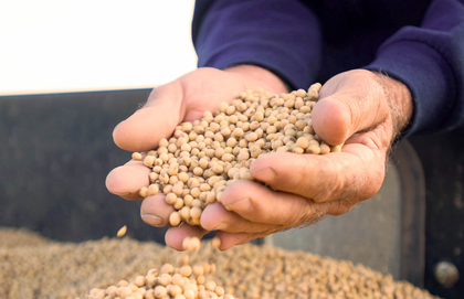 American farmers face tariff ripples on costs, market shifts: Reports | American farmers face tariff ripples on costs, market shifts: Reports American farmers face tariff ripples on costs, market shifts: Reports | American farmers face tariff ripples on costs, market shifts: Reports