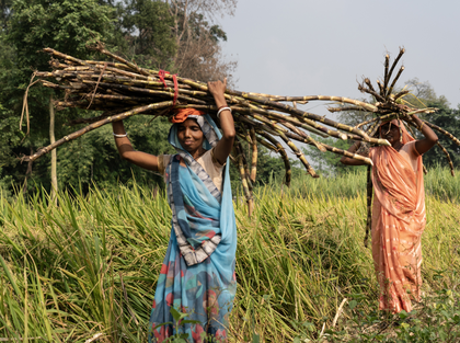 Centre releases over Rs 275 crore to boost rural governance in Jharkhand | Centre releases over Rs 275 crore to boost rural governance in Jharkhand Centre releases over Rs 275 crore to boost rural governance in Jharkhand | Centre releases over Rs 275 crore to boost rural governance in Jharkhand