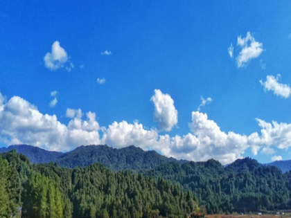 New Zealand greenhouse gas emissions fall 1.5 per cent in Q2 | New Zealand greenhouse gas emissions fall 1.5 per cent in Q2 New Zealand greenhouse gas emissions fall 1.5 per cent in Q2 | New Zealand greenhouse gas emissions fall 1.5 per cent in Q2