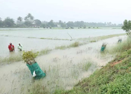 TN BJP, NTK urge Stalin govt to provide immediate relief to flood-hit delta farmers | TN BJP, NTK urge Stalin govt to provide immediate relief to flood-hit delta farmers TN BJP, NTK urge Stalin govt to provide immediate relief to flood-hit delta farmers | TN BJP, NTK urge Stalin govt to provide immediate relief to flood-hit delta farmers