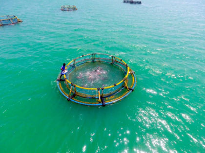 MECOS 4 to spotlight seafood industry challenges and opportunities | MECOS 4 to spotlight seafood industry challenges and opportunities MECOS 4 to spotlight seafood industry challenges and opportunities | MECOS 4 to spotlight seafood industry challenges and opportunities