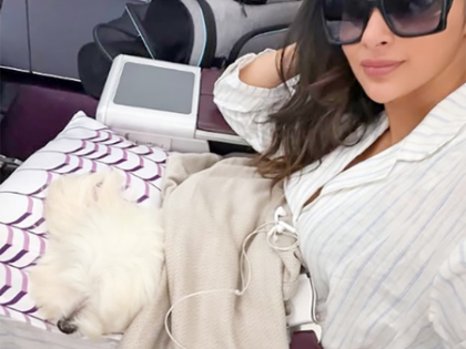 Mouni Roy’s pet dog travels with her in business class | Mouni Roy’s pet dog travels with her in business class Mouni Roy’s pet dog travels with her in business class | Mouni Roy’s pet dog travels with her in business class
