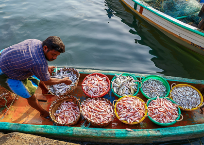 Union MoS George Kurian urges fisheries workers to register under NFDP | Union MoS George Kurian urges fisheries workers to register under NFDP