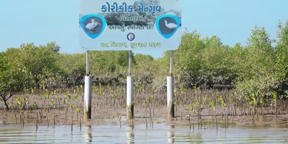 PM Modi highlights Gujarat's environmental efforts in 'Mann Ki Baat' | PM Modi highlights Gujarat's environmental efforts in 'Mann Ki Baat' PM Modi highlights Gujarat's environmental efforts in 'Mann Ki Baat' | PM Modi highlights Gujarat's environmental efforts in 'Mann Ki Baat'