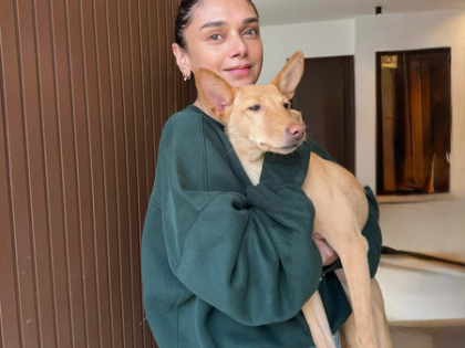 Aditi Rao Hydari spends her Sundays cuddling & squishing her furry friends | Aditi Rao Hydari spends her Sundays cuddling & squishing her furry friends Aditi Rao Hydari spends her Sundays cuddling & squishing her furry friends | Aditi Rao Hydari spends her Sundays cuddling & squishing her furry friends