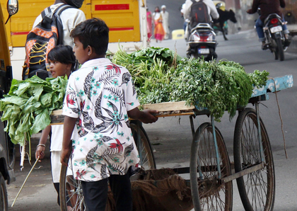 Rajasthan: Children below 14 banned from working in shops and commercial establishments | Rajasthan: Children below 14 banned from working in shops and commercial establishments Rajasthan: Children below 14 banned from working in shops and commercial establishments | Rajasthan: Children below 14 banned from working in shops and commercial establishments