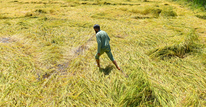 BJP busy doing poll politics, increasing assets while neglecting woes of rain-hit farmers: Saamana | BJP busy doing poll politics, increasing assets while neglecting woes of rain-hit farmers: Saamana BJP busy doing poll politics, increasing assets while neglecting woes of rain-hit farmers: Saamana | BJP busy doing poll politics, increasing assets while neglecting woes of rain-hit farmers: Saamana