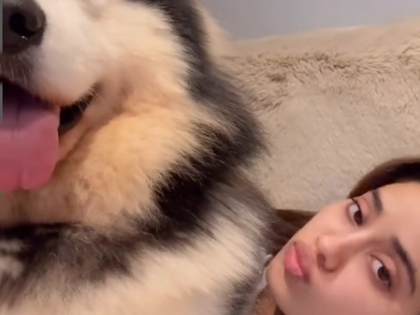 Janhvi Kapoor plays with her pet husky, shares a cute and funny video | Janhvi Kapoor plays with her pet husky, shares a cute and funny video Janhvi Kapoor plays with her pet husky, shares a cute and funny video | Janhvi Kapoor plays with her pet husky, shares a cute and funny video