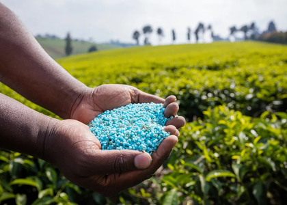 Cabinet nod to nutrient-based subsidy rates for Rabi 2025-26 on phosphatic, potassic fertilisers | Cabinet nod to nutrient-based subsidy rates for Rabi 2025-26 on phosphatic, potassic fertilisers Cabinet nod to nutrient-based subsidy rates for Rabi 2025-26 on phosphatic, potassic fertilisers | Cabinet nod to nutrient-based subsidy rates for Rabi 2025-26 on phosphatic, potassic fertilisers