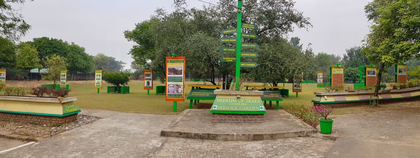 Manuka, a new addition to Chandigarh’s Museum of Trees | Manuka, a new addition to Chandigarh’s Museum of Trees Manuka, a new addition to Chandigarh’s Museum of Trees | Manuka, a new addition to Chandigarh’s Museum of Trees