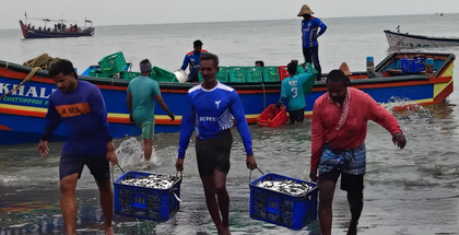 Nationwide marine fisheries census to begin on Friday | Nationwide marine fisheries census to begin on Friday Nationwide marine fisheries census to begin on Friday | Nationwide marine fisheries census to begin on Friday