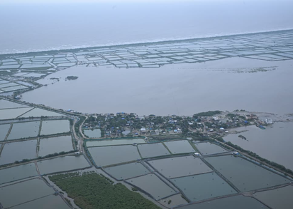 Cyclone damages crops over 2.14 lakh acres, 2,294 km of roads in Andhra | Cyclone damages crops over 2.14 lakh acres, 2,294 km of roads in Andhra Cyclone damages crops over 2.14 lakh acres, 2,294 km of roads in Andhra | Cyclone damages crops over 2.14 lakh acres, 2,294 km of roads in Andhra