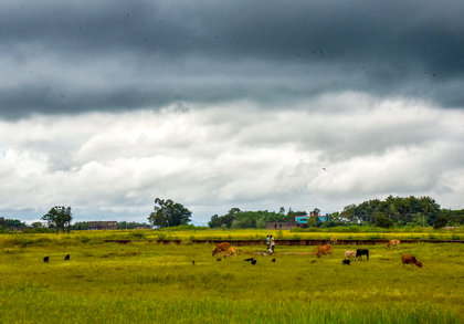 Met Office predicts rain across West Bengal till Monday | Met Office predicts rain across West Bengal till Monday Met Office predicts rain across West Bengal till Monday | Met Office predicts rain across West Bengal till Monday