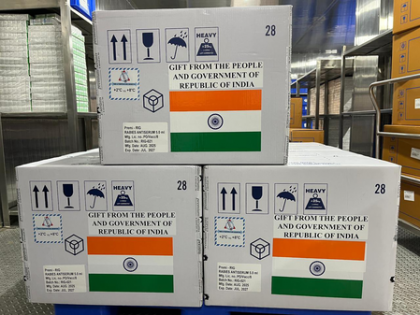 India dispatches consignment of rabies vaccine, immunoglobulin to Timor Leste | India dispatches consignment of rabies vaccine, immunoglobulin to Timor Leste