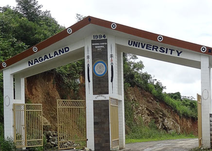 Nagaland University’s biodegradable gelatin-electrolyte to boost performance of supercapacitors | Nagaland University’s biodegradable gelatin-electrolyte to boost performance of supercapacitors Nagaland University’s biodegradable gelatin-electrolyte to boost performance of supercapacitors | Nagaland University’s biodegradable gelatin-electrolyte to boost performance of supercapacitors