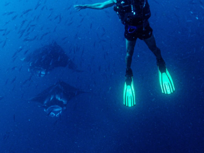Milind Soman witnesses the most beautiful sights under the sea in Maldives during his pre-birthday bash | Milind Soman witnesses the most beautiful sights under the sea in Maldives during his pre-birthday bash