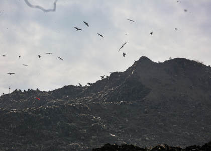 NGT directs MCD to submit time-bound plan for Ghazipur landfill | NGT directs MCD to submit time-bound plan for Ghazipur landfill NGT directs MCD to submit time-bound plan for Ghazipur landfill | NGT directs MCD to submit time-bound plan for Ghazipur landfill