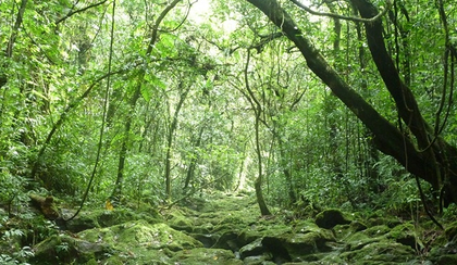 Security forces crush Naxal arms factory in Chhattisgarh's Sukma forests | Security forces crush Naxal arms factory in Chhattisgarh's Sukma forests Security forces crush Naxal arms factory in Chhattisgarh's Sukma forests | Security forces crush Naxal arms factory in Chhattisgarh's Sukma forests