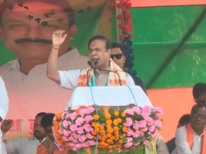 RJD, Shahabuddin family responsible for terror in Siwan: Assam CM in Bihar | RJD, Shahabuddin family responsible for terror in Siwan: Assam CM in Bihar