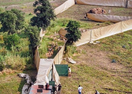 MP: Forest Dept relocates animals responsible for damaging crops | MP: Forest Dept relocates animals responsible for damaging crops