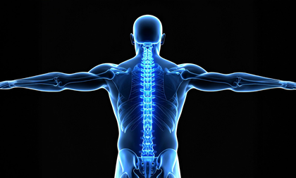 Japanese researchers successfully regenerate bone using stem cells | Japanese researchers successfully regenerate bone using stem cells Japanese researchers successfully regenerate bone using stem cells | Japanese researchers successfully regenerate bone using stem cells