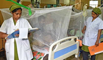 B’desh: Five more people die of dengue, fatalities rise to 307 | B’desh: Five more people die of dengue, fatalities rise to 307 B’desh: Five more people die of dengue, fatalities rise to 307 | B’desh: Five more people die of dengue, fatalities rise to 307