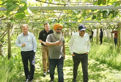 Grateful to Kiwi-Indian farmers for very productive orchard visit: Piyush Goyal | Grateful to Kiwi-Indian farmers for very productive orchard visit: Piyush Goyal Grateful to Kiwi-Indian farmers for very productive orchard visit: Piyush Goyal | Grateful to Kiwi-Indian farmers for very productive orchard visit: Piyush Goyal