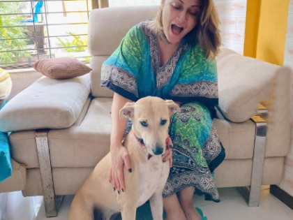 Urvashi Dholakia hits back at trolls questioning her support for stray animals after Supreme Court order | Urvashi Dholakia hits back at trolls questioning her support for stray animals after Supreme Court order Urvashi Dholakia hits back at trolls questioning her support for stray animals after Supreme Court order | Urvashi Dholakia hits back at trolls questioning her support for stray animals after Supreme Court order