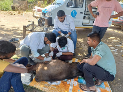 Gujarat’s mobile veterinary scheme treats 85 lakh animals free; becomes national model | Gujarat’s mobile veterinary scheme treats 85 lakh animals free; becomes national model