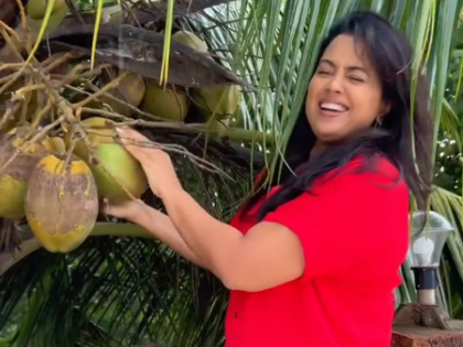 Sameera Reddy calls coconut water ‘nature’s OG sports drink’ in a humorous post | Sameera Reddy calls coconut water ‘nature’s OG sports drink’ in a humorous post Sameera Reddy calls coconut water ‘nature’s OG sports drink’ in a humorous post | Sameera Reddy calls coconut water ‘nature’s OG sports drink’ in a humorous post