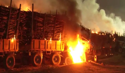 K’taka: Sugarcane protest turns violent; 50 tractors torched | K’taka: Sugarcane protest turns violent; 50 tractors torched K’taka: Sugarcane protest turns violent; 50 tractors torched | K’taka: Sugarcane protest turns violent; 50 tractors torched