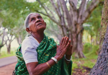 Padma Shri environmentalist 'Saalumarada' Thimmakka passes away at 114 | Padma Shri environmentalist 'Saalumarada' Thimmakka passes away at 114