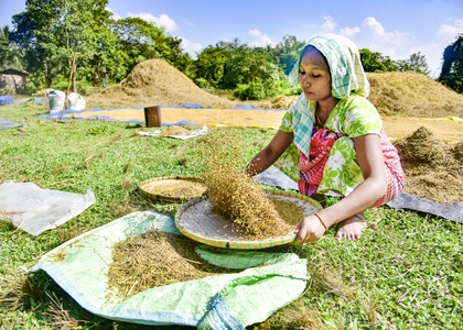 India’s basmati rice exports likely to remain steady despite Middle East conflict | India’s basmati rice exports likely to remain steady despite Middle East conflict India’s basmati rice exports likely to remain steady despite Middle East conflict | India’s basmati rice exports likely to remain steady despite Middle East conflict