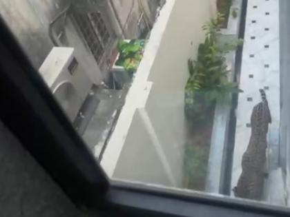 Leopard enters Rajasthan minister’s bungalow in Jaipur; search operation underway | Leopard enters Rajasthan minister’s bungalow in Jaipur; search operation underway