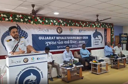 Gujarat observes 19th Whale Shark Day at Mangrol Fishing Port, scores of fishermen join | Gujarat observes 19th Whale Shark Day at Mangrol Fishing Port, scores of fishermen join