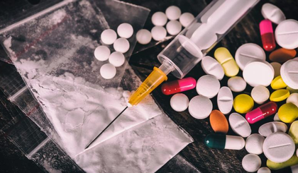 Tripura: BSF recovers Rs 3 crore meth haul, uproots 3 lakh ganja plants | Tripura: BSF recovers Rs 3 crore meth haul, uproots 3 lakh ganja plants