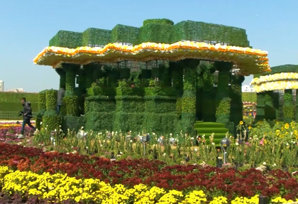 Bigger, brighter, bloomier: 2026 Ahmedabad Flower Show promises a visual feast | Bigger, brighter, bloomier: 2026 Ahmedabad Flower Show promises a visual feast