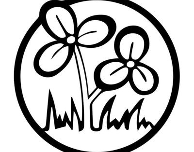 Trinamool accuses Election Commission of bias, alleges BLOs being overworked during SIR exercise | Trinamool accuses Election Commission of bias, alleges BLOs being overworked during SIR exercise