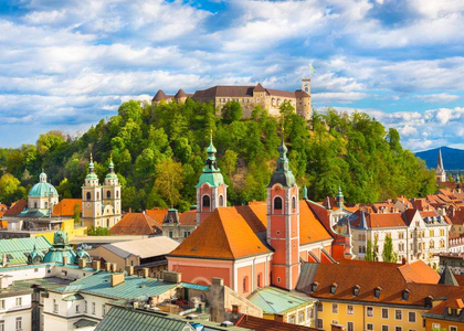 Slovenians oppose assisted-dying law in referendum | Slovenians oppose assisted-dying law in referendum