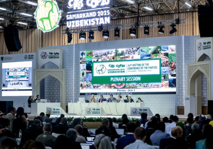 Delegates to decide on global wildlife trade rules as CITES CoP20 opens in Samarkand | Delegates to decide on global wildlife trade rules as CITES CoP20 opens in Samarkand Delegates to decide on global wildlife trade rules as CITES CoP20 opens in Samarkand | Delegates to decide on global wildlife trade rules as CITES CoP20 opens in Samarkand