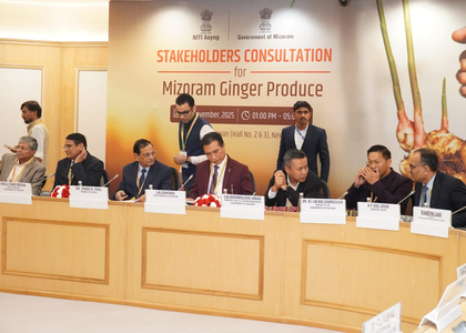 Boost for Mizoram’s organic ginger as NITI Aayog bats for national recognition | Boost for Mizoram’s organic ginger as NITI Aayog bats for national recognition Boost for Mizoram’s organic ginger as NITI Aayog bats for national recognition | Boost for Mizoram’s organic ginger as NITI Aayog bats for national recognition