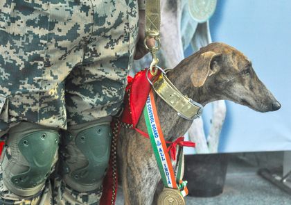 Surveillance beefed up at Indo-Pak border in Barmer after Pak intruder apprehended by BSF | Surveillance beefed up at Indo-Pak border in Barmer after Pak intruder apprehended by BSF