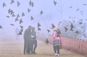 Cold wave alert in Rajasthan; temperatures drop below 10 degrees Celsius in several cities | Cold wave alert in Rajasthan; temperatures drop below 10 degrees Celsius in several cities