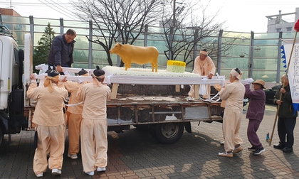 'Bull of peace' laid to rest in South Korea after drifting from North Korea in 1996 flood | 'Bull of peace' laid to rest in South Korea after drifting from North Korea in 1996 flood
