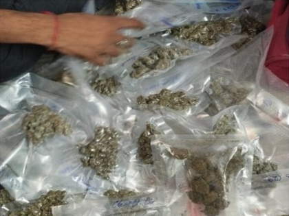 Delhi Police seizes 51.5 kg ganja, cash after busting interstate drug network | Delhi Police seizes 51.5 kg ganja, cash after busting interstate drug network Delhi Police seizes 51.5 kg ganja, cash after busting interstate drug network | Delhi Police seizes 51.5 kg ganja, cash after busting interstate drug network